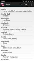 Slovak - English offline dict. ポスター