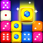 Dice Puzzle biểu tượng