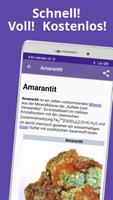 Mineralienführer Plakat
