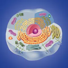 Cell biology アプリダウンロード