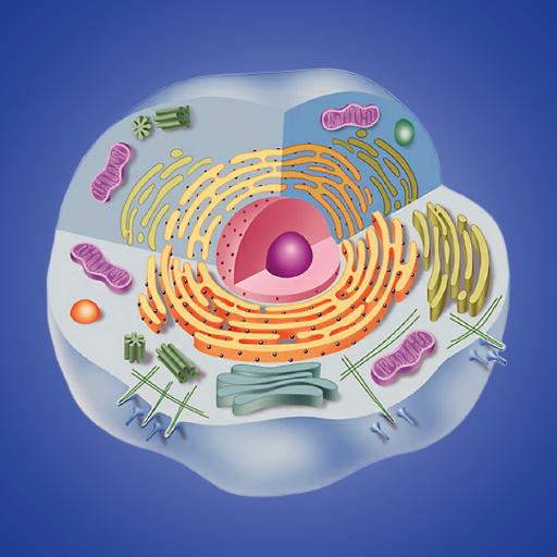 Biologia cellulare