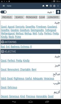 English Arabic Dictionary screenshot 17