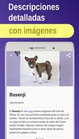 Razas de perro captura de pantalla 1