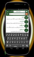 Urdu Dictionary to Urdu capture d'écran 2