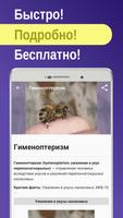 Иммунология и вирусология постер