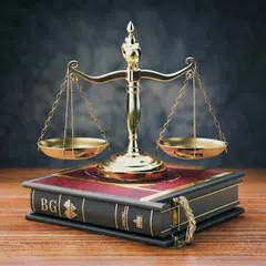 Big law Dictionary Icon