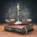 Big law Dictionary