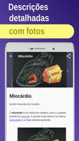 Cardiolodia e Hematologia imagem de tela 1
