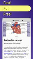 Cardiolody, Hematology: heart poster