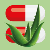 Medicinal plants & Herbs 아이콘