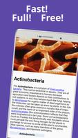 Bacteriology & Microbiology पोस्टर
