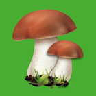 Edible mushroom icon