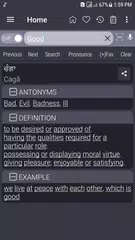 download English Punjabi Dictionary XAPK