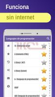 Lenguajes de programación captura de pantalla 3
