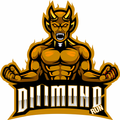 Diamond Run