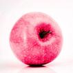 Nutrition guide and formulas
