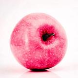 Nutrition guide and formulas icon