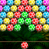 Shoot Eggs 2021 আইকন