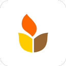 Equipo Europan APK