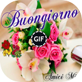 Buongiorno buon pomeriggio buonanotte GIF