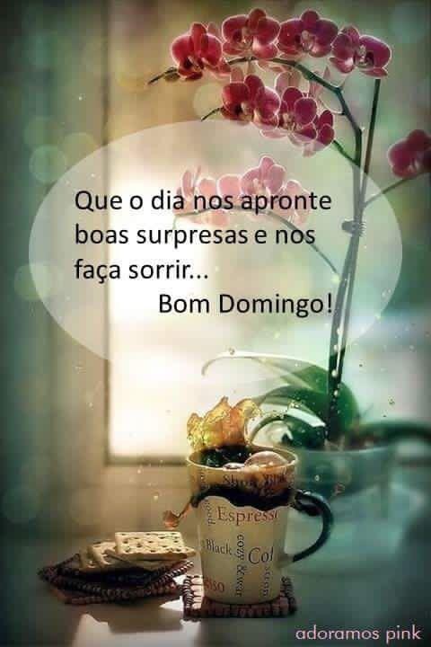 bom dia carinhoso Gifs APK für Android herunterladen bom dia carinhoso Gifs APK für Android herunterladen