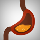 Healthy Digestion Foods Diet icono