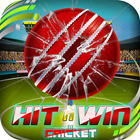 Hit N Win Cricket ícone