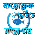 বায়োফ্লক পদ্ধতিতে মাছ চাষ ~ bi APK