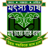 মাছ চাষ পদ্ধতি