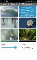 Relaxing Nature Sounds الملصق