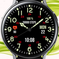 [DW] Classical Watch