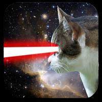 Laser Cat poster