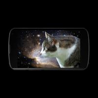Laser Cat screenshot 1