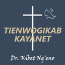 Tienwogikab Kayanet APK