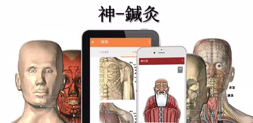 神-鍼灸