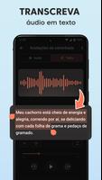 Gravador de Voz: Gravar Áudio imagem de tela 1
