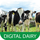 Digital Dairy icône