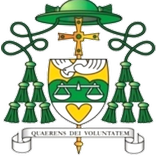 ”Nsukka Catholic E-Learning Portal