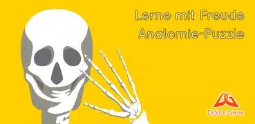 Anatomie-Puzzle