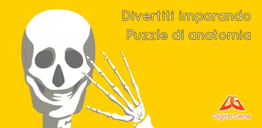 Puzzle di anatomia