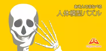 あそんでまなべる 人体模型パズル
