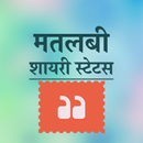 Hindi Matlabi Shayari Status APK