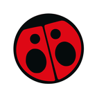 Radio Carolina 99.3 icon