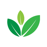 Homeo Healing Center アイコン