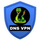 DNS VPN アイコン