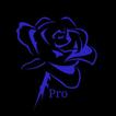 Rose Vpn Green
