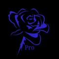 Rose Vpn Green
