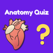 Anatomy Quiz: Trivia Body Game आइकन