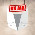 Chat Blanc Radio