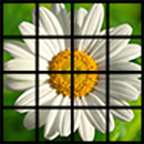 Photo Puzzle APK